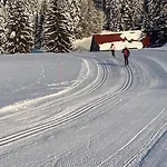 Mein Schwarzwaldzauber *
