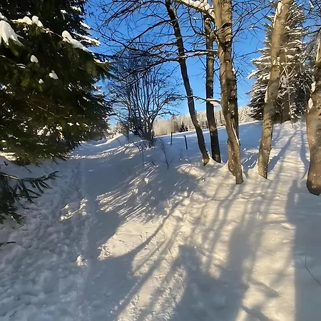 Lägenhet Mein Schwarzwaldzauber