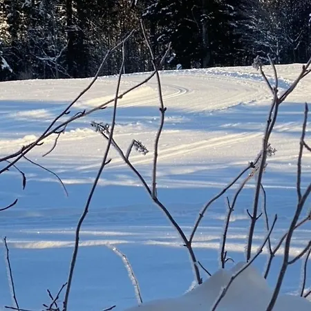 Mein Schwarzwaldzauber Lägenhet