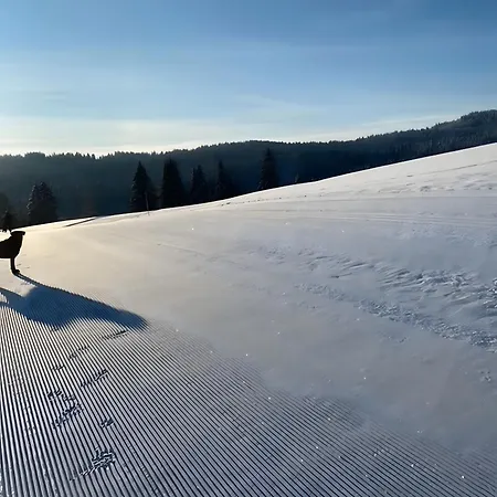 Lägenhet Mein Schwarzwaldzauber