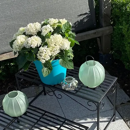 Mein Schwarzwaldzauber *