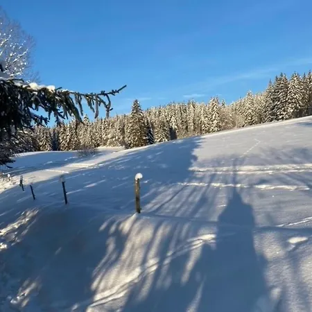 Mein Schwarzwaldzauber * Sankt Blasien