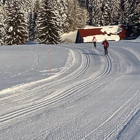 Mein Schwarzwaldzauber Lägenhet *