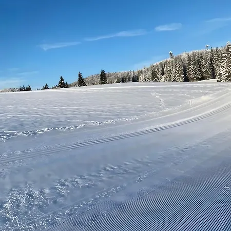 Mein Schwarzwaldzauber