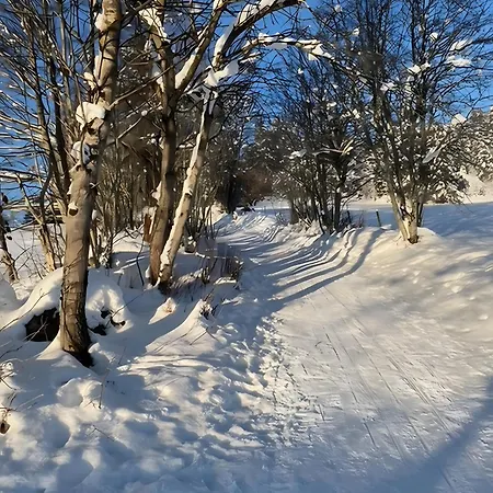 Mein Schwarzwaldzauber * Sankt Blasien