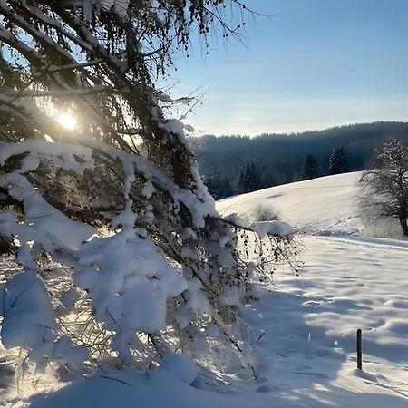 Mein Schwarzwaldzauber