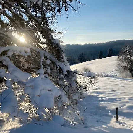 Mein Schwarzwaldzauber Apartament St. Blasien